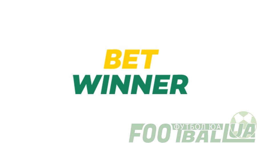 Discover the Excitement of Betwinner Sportsbook