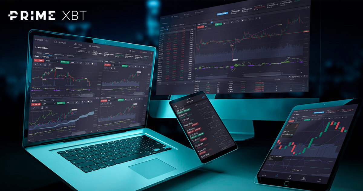Exploring the Community PrimeXBT A Hub for Traders
