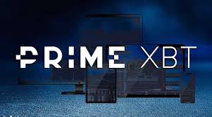 Exploring the Community PrimeXBT A Hub for Traders